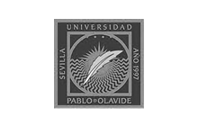 IT Consulting Universidad Pablo de Olavide