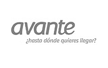 IT Consulting Usability Audit Services (UI/UX) Avante