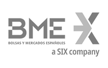 IT Consulting E-marketing Audit Services Madrid Stock Exchange