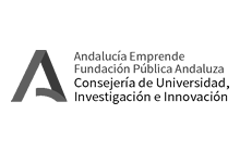 IT Consulting E-marketing Audit Services Red Andalucía Emprende Foundation