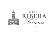 IT Consulting Usability Audit Services (UI/UX) Hotel Ribera de Triana