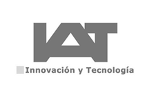 IT Consulting Usability Audit Services (UI/UX) Andalusian Institute of Technology