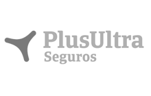 IT Consulting PlusUltra Seguros