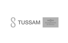 IT Consulting E-marketing Audit Services Tussam