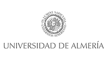 Usability Audit Services (UI/UX) IT Consulting University of Almería